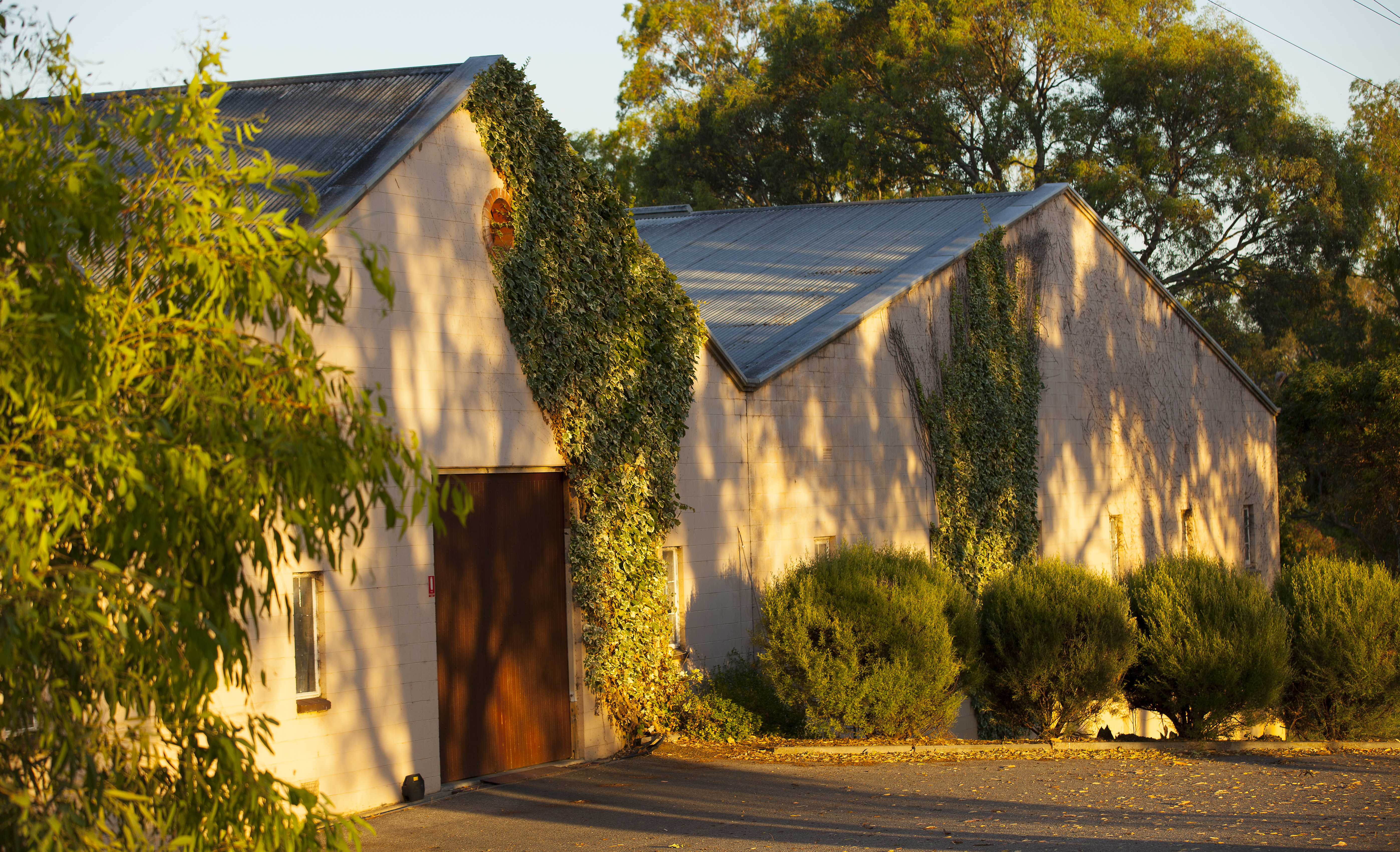 Working Winery